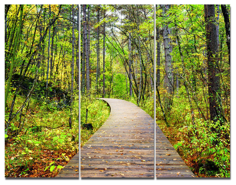 Wooden Boardwalk across Forest, Landscape Triptych Canvas Print, 36x28, 3 Panels
