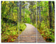 Wooden Boardwalk across Forest, Landscape Triptych Canvas Print, 36x28, 3 Panels