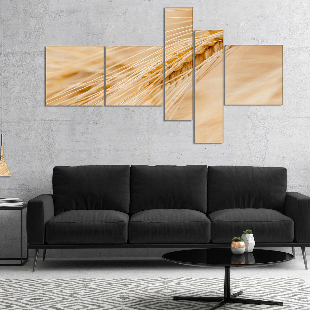 Cereal Plants Barley, Floral Canvas Art Print, 60"x32", 5 panels