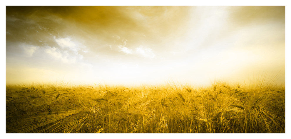 Yellow Meadow under Bright Sun, Large landscape Canvas Art Print, 60"x28"