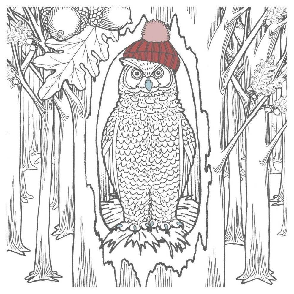 "Color the Forest Color V" Digital Paper Print by Elyse DeNeige, 20"x20"