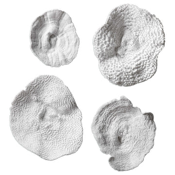 Uttermost Sea Coral Wall Decor | Sea Coral Wall Art (Set of 4)