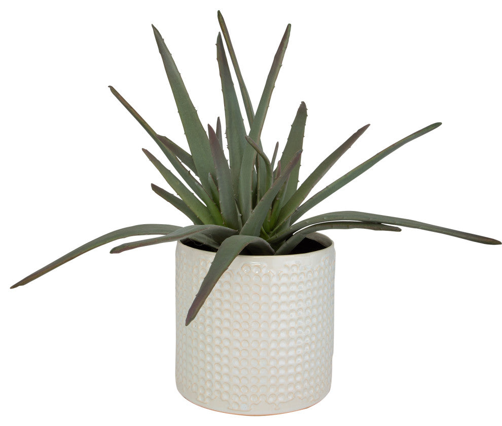 Taos Aloe Centerpiece