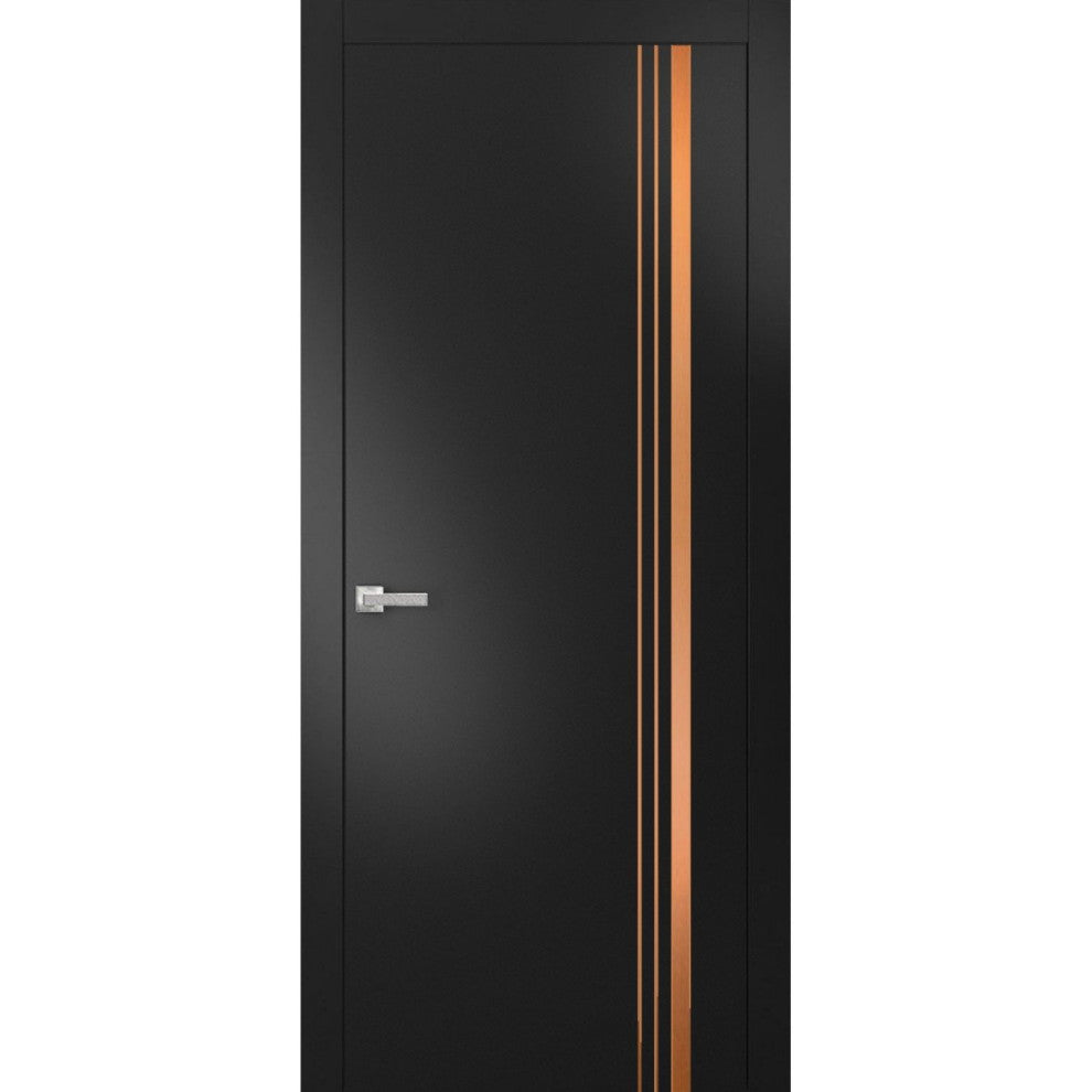Solid French Door 30 x 80 | Planum 1010 Matte Black with| Bathroom