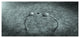 Fungus on Leather Surface, Large landscape Canvas Art Print, 60"x28"