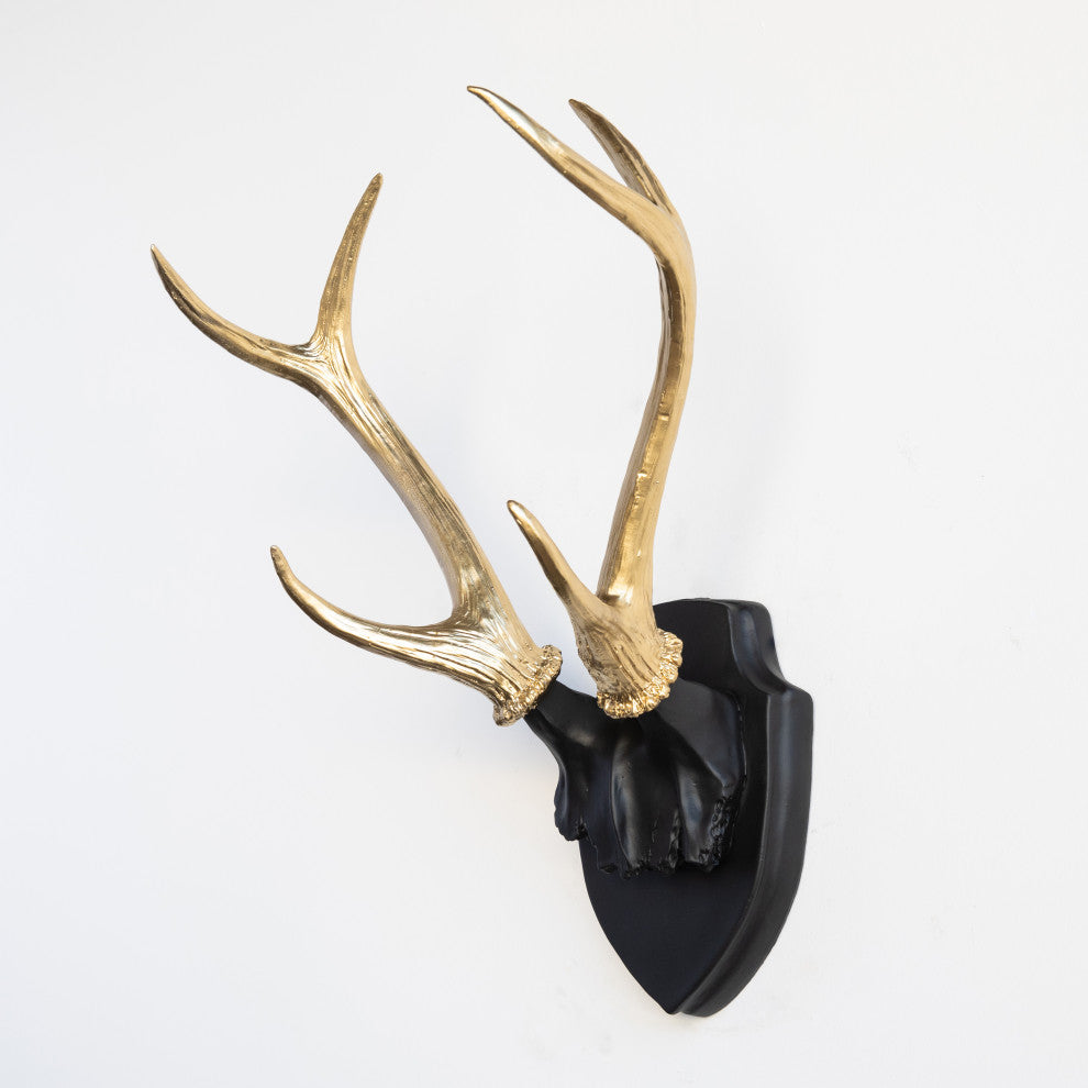 Deer Antler Mount, White Antlers And Plaque, Black, Gold