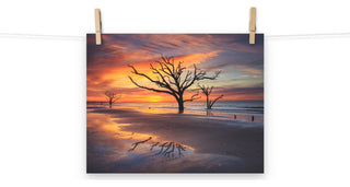Sunrise and Trees At Edisto Island Coastal Landscape Photo Loose Wall Art Print, 11" X 14"