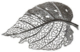 Birch Leaf Wall Art, Silver, Medium