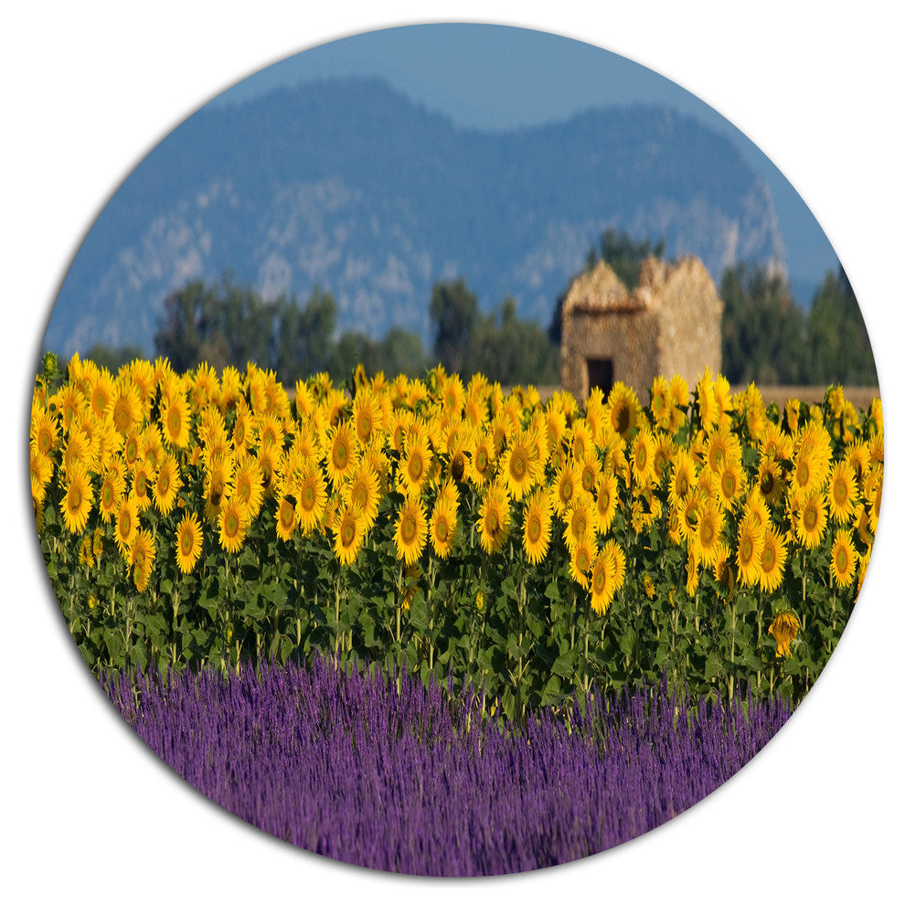 Lavender And Sunflower In Provence, Floral Wall Disc Metal Artwork, 36"