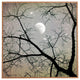 Deny Designs Shannon Clark Silver Sky Framed Wall Art