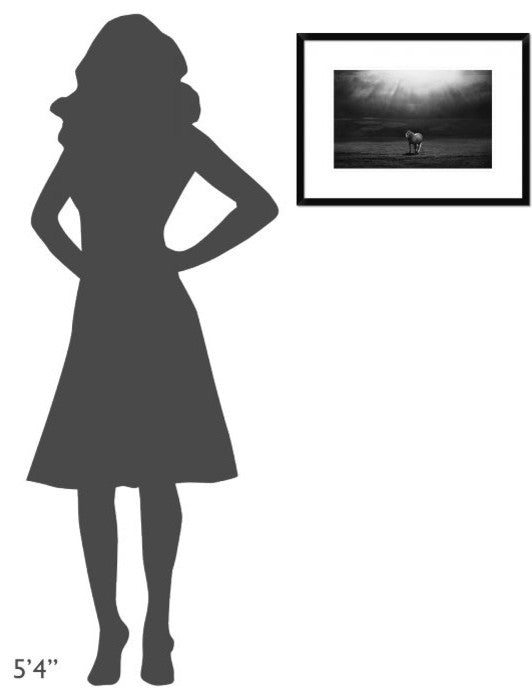 "Morning Appearance" Framed Digital Print by Peter Svoboda, 24"x17"