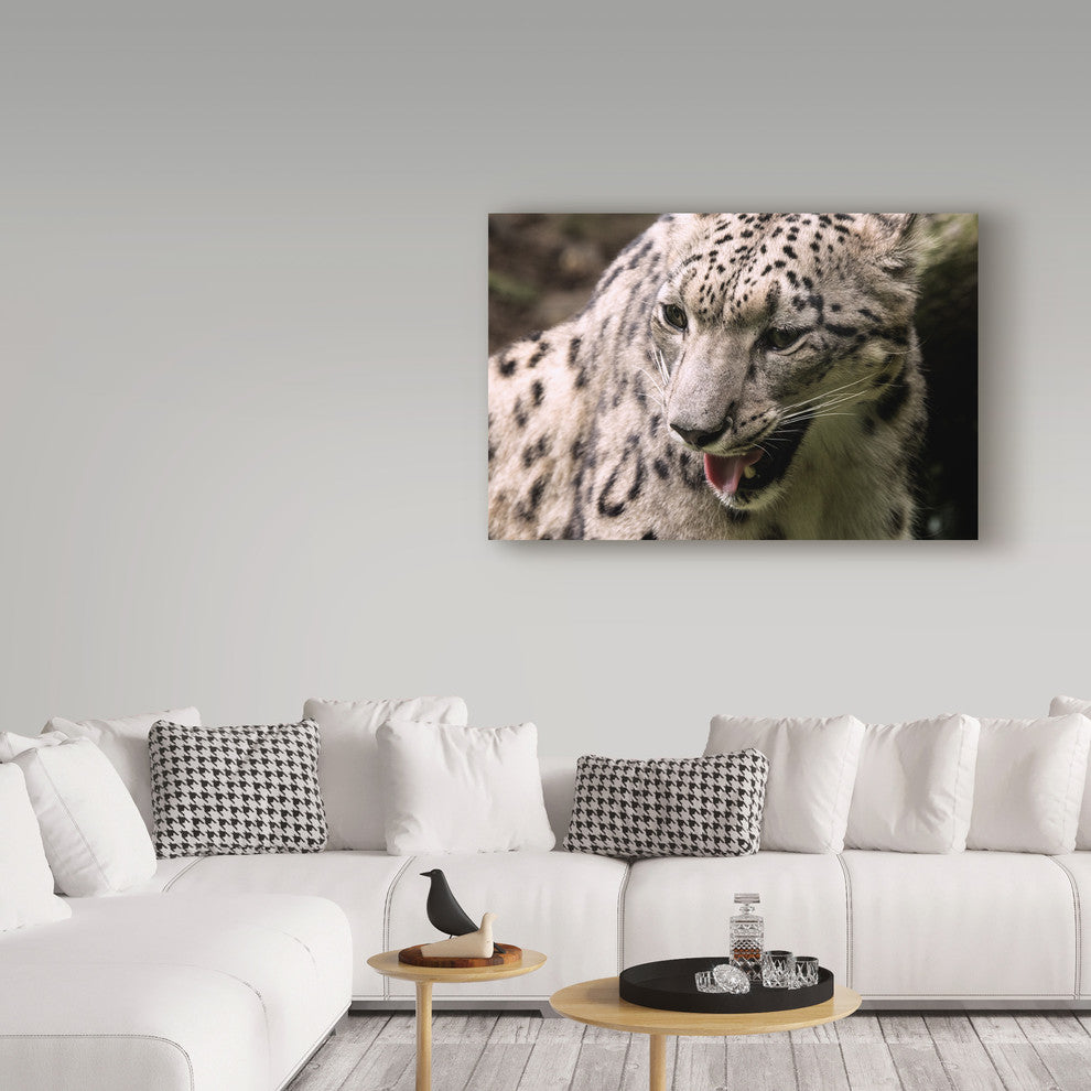 "Snow Leopard" by Robert Michaud, Canvas Art