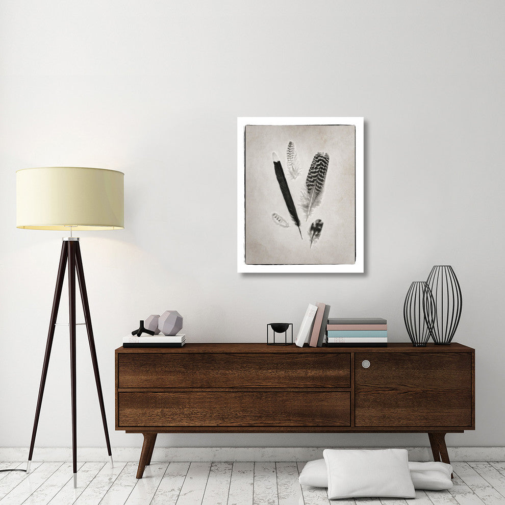 "Feather Group II - BW" Digital Paper Print by Debra Van Swearingen, 30"x37"