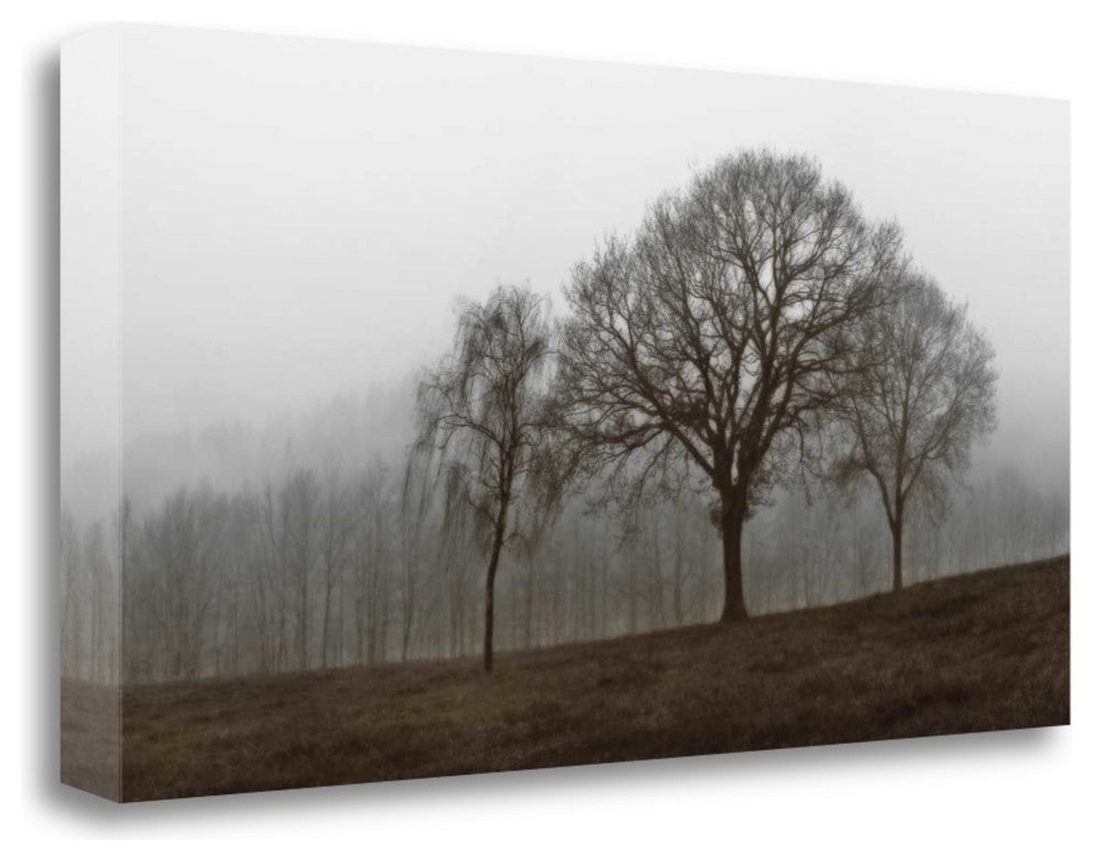 "Autumn Fog" By Ily Szilagyi, Giclee Print on Gallery Wrap Canvas, Ready to Hang