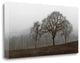 "Autumn Fog" By Ily Szilagyi, Giclee Print on Gallery Wrap Canvas, Ready to Hang