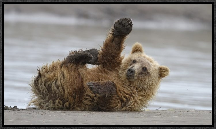 "High Five" Framed Canvas Giclee by Alfred Forns, 23x14"