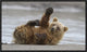 "High Five" Framed Canvas Giclee by Alfred Forns, 23x14"