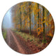 Raising Sun In Fall Forest Panorama, Forest Disc Metal Artwork, 11"