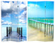 6'' Tall Double Sided Ocean Room Divider