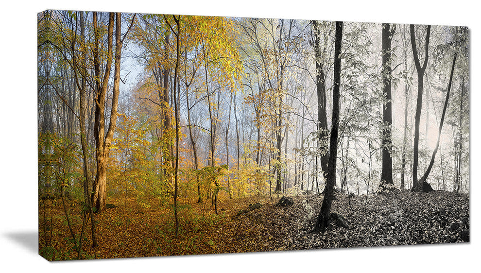 Yellow Morning in Forest Panorama, Landscape Canvas Art Print, 32"x16"