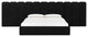 Palani Black Velvet Wings, Queen or King, Set of 2