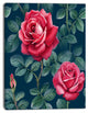 Rose Illustration Watercolor, Floral Canvas Art print, 30"x40"