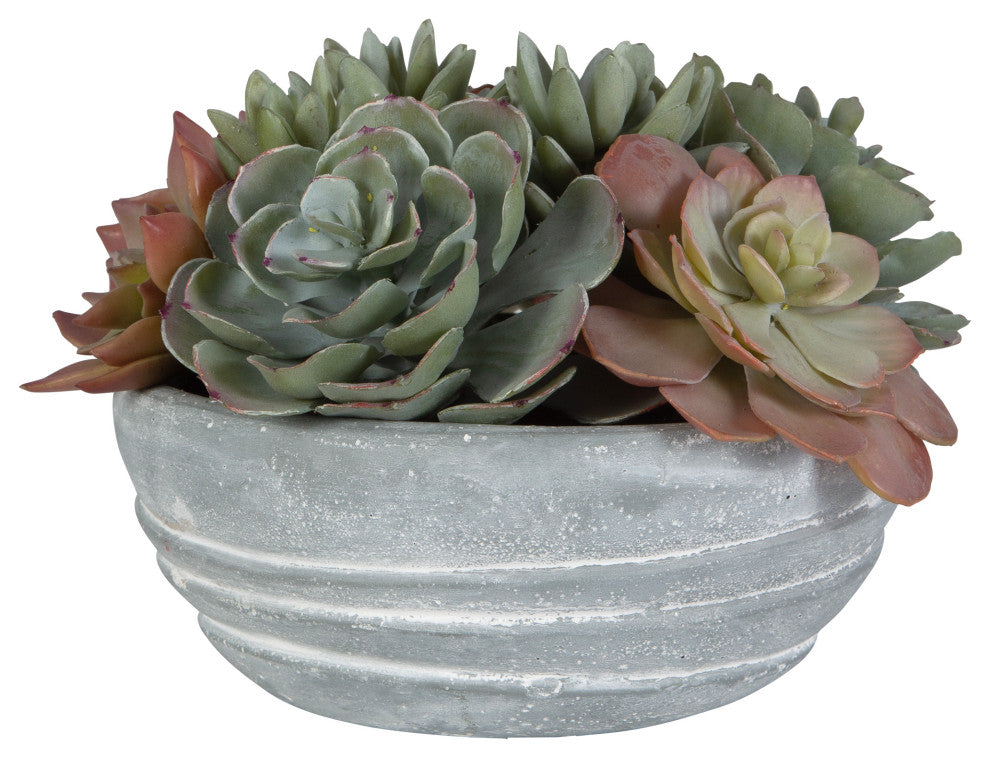 Peoria Succulent Accent
