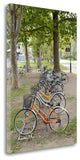 "Japan Bicycle - 12" By Alan Blaustein, Giclee Print on Gallery Wrap Canvas