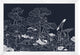 Wood Block Nature Impression 1, Giclee Reproduction Artwork