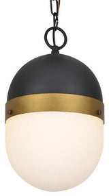 Capsule 1 Light Outdoor Pendant in Matte Black + Textured Gold