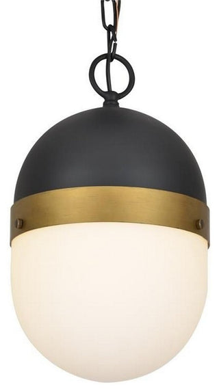 Capsule 1 Light Outdoor Pendant in Matte Black + Textured Gold