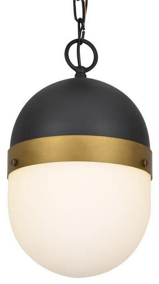 Capsule 1 Light Outdoor Pendant in Matte Black + Textured Gold
