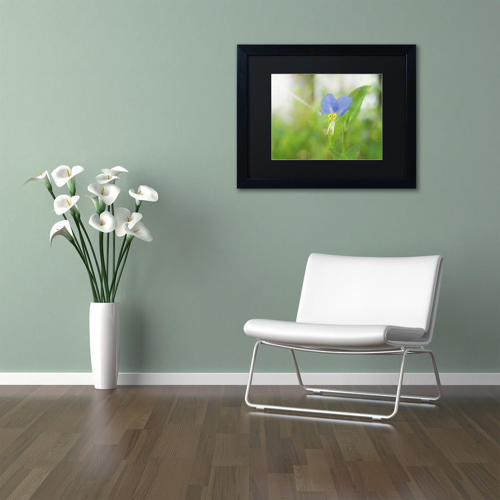 PIPA Fine Art 'Asiatic Dayflower' Matted Framed Art, 20x16