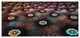 Brown Flowers on Alien Planet, Large Floral Canvas Art Print, 60"x28"