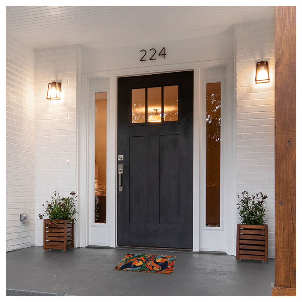 Sheltered Coconut Door Mat Printed, 24x16, Toucans