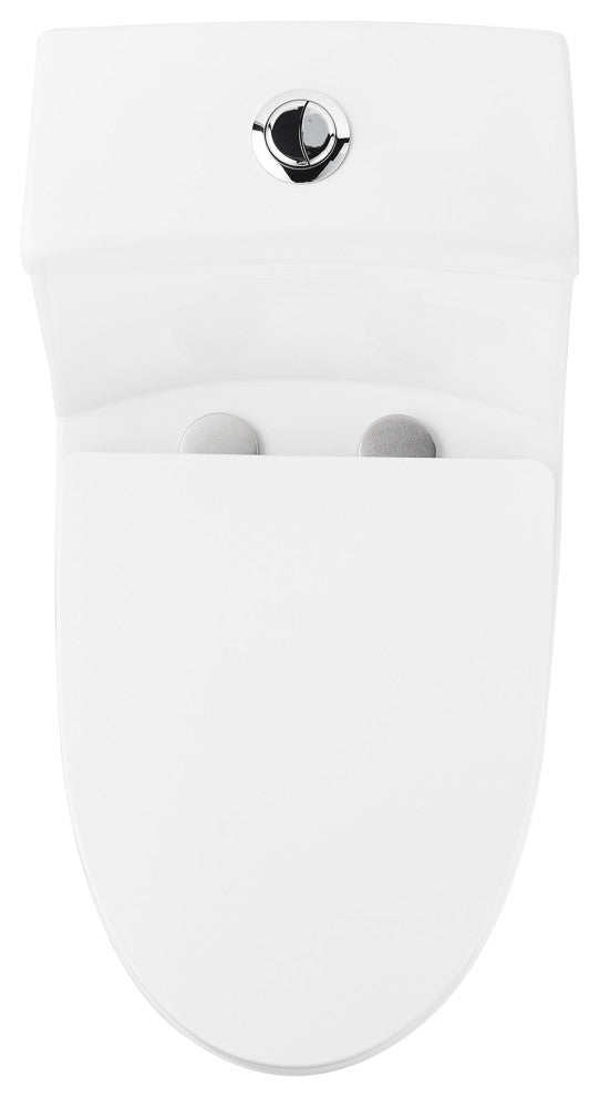 Dual Flush Elongated One Piece Toilet With Glazed Surface, Seat Included