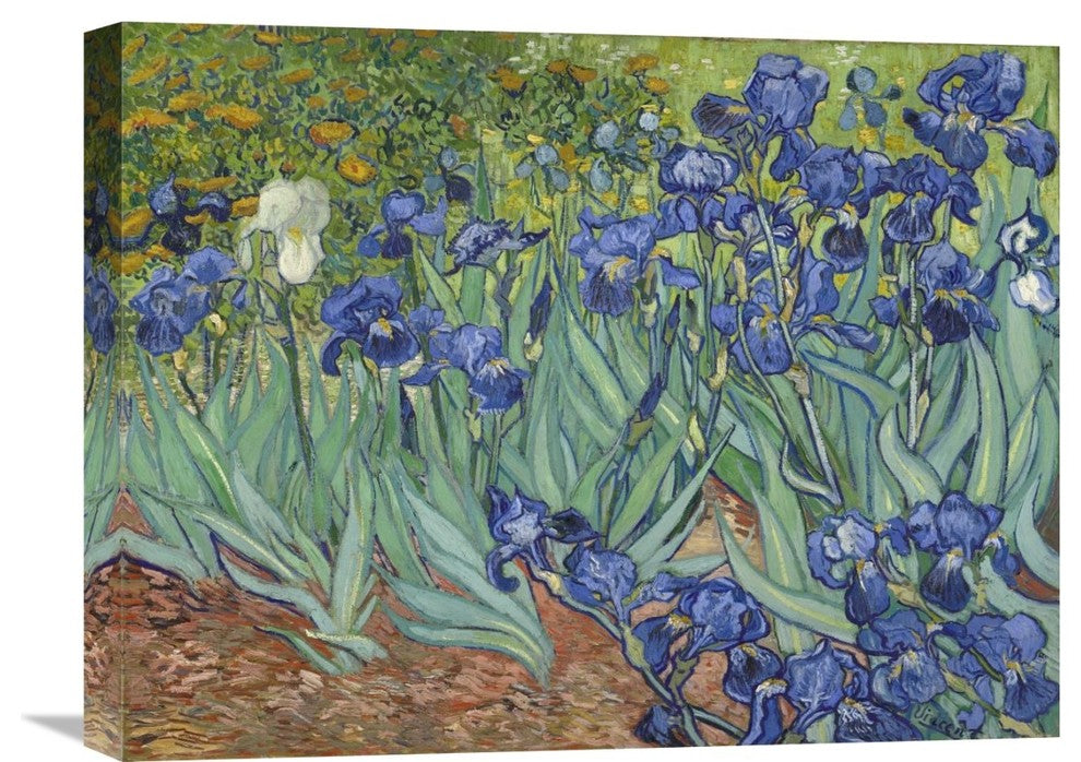 "Irises, 1889" Artwork, 22" x 16"