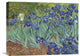 "Irises, 1889" Artwork, 22" x 16"