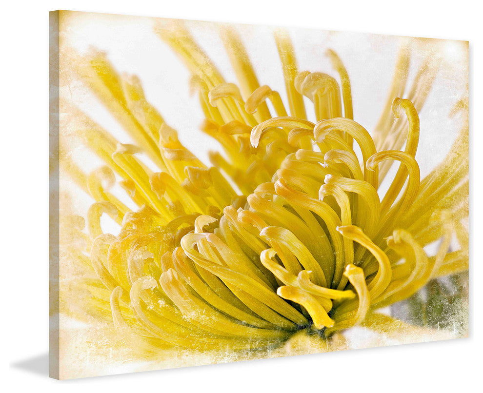 "Chrysanthemum" Painting Print on Canvas by Aryai