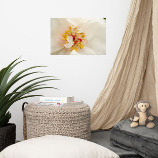 Eye of Peony Nature Photography, Floral Unframed Wall Art Print, 12" X 18"