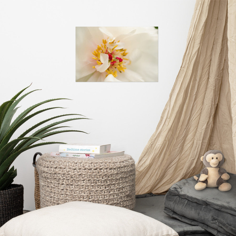 Eye of Peony Nature Photography, Floral Unframed Wall Art Print, 12" X 18"