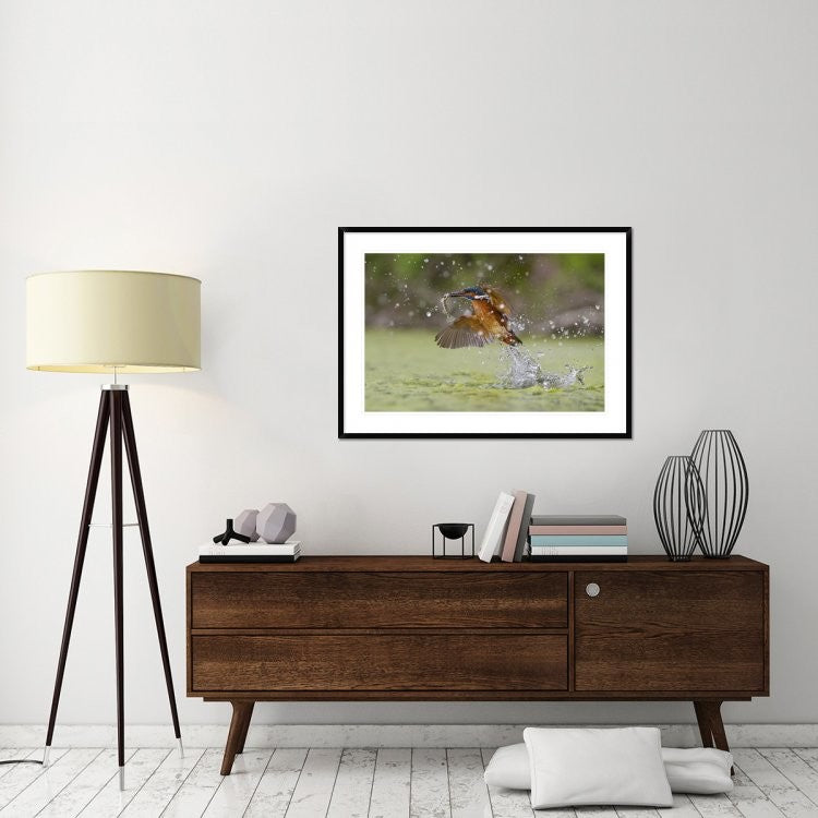 "Green Fishing" Framed Digital Print by Marco Redaelli, 44x32"