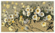 "Breezes" Digital Paper Print by Shirley Novak, 42"x26"