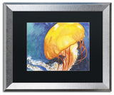 'Jelly Fish II' Art, 16x20, Silver Frame, Black Mat