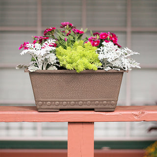 Decorative Window Box, Taupe