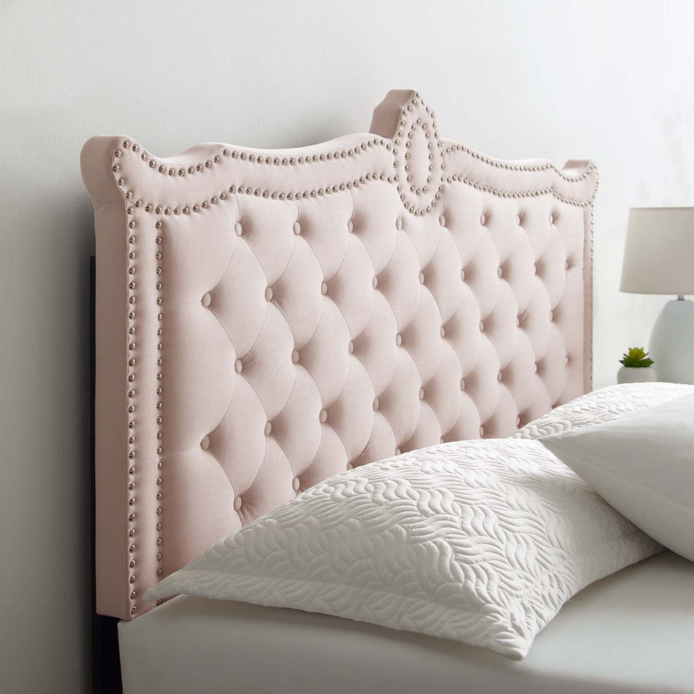 Platform Bed Frame, Nailhead, Queen Size, Pink, Velvet, Modern, Guest Suite