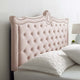Platform Bed Frame, Nailhead, Queen Size, Pink, Velvet, Modern, Guest Suite