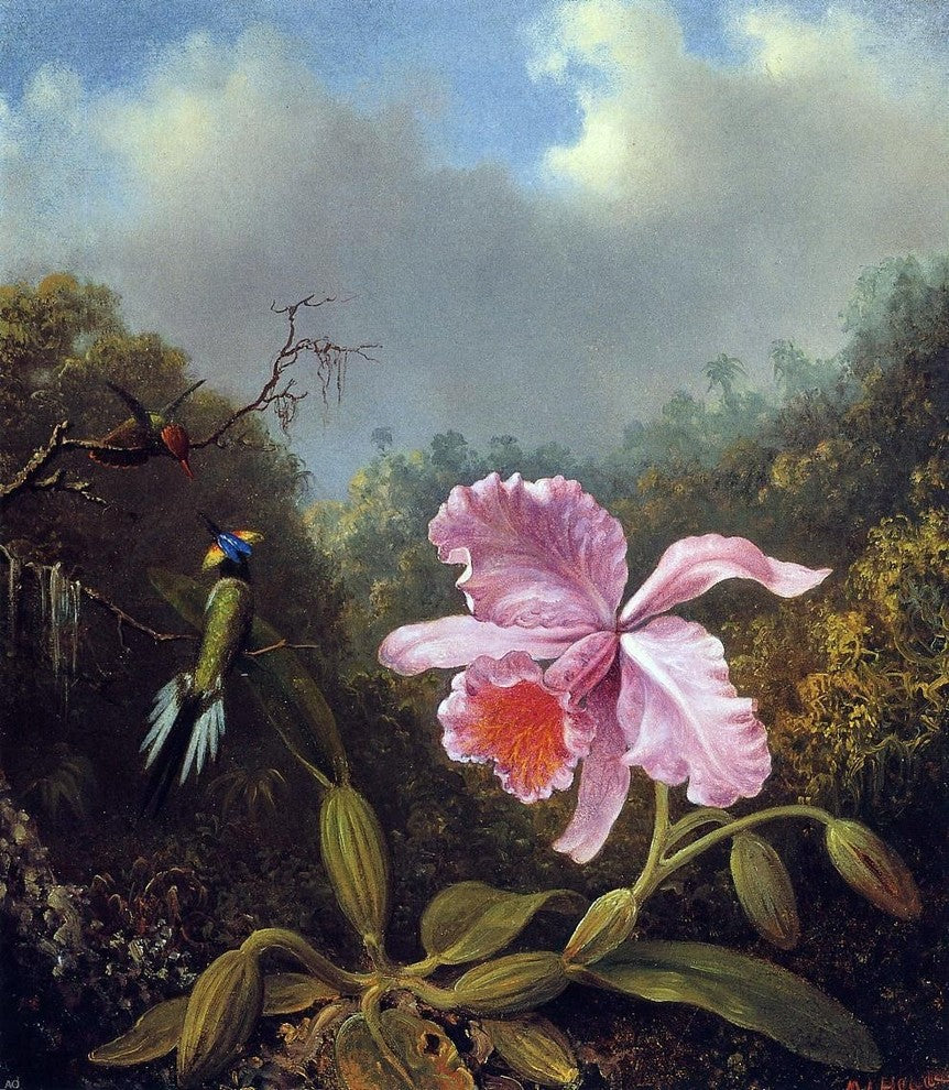 Martin Johnson Heade Fighting Hummingbirds With Pink Orchid Wall Decal