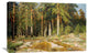 "The Mast-Tree Grove, Study" Artwork, 36" x 23"