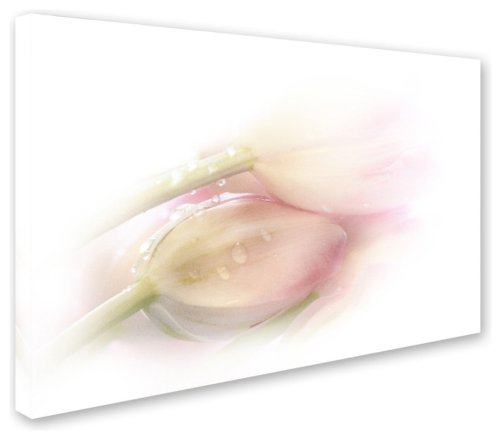 Stefan Eisele ''Touching'' Canvas Art, 30x47
